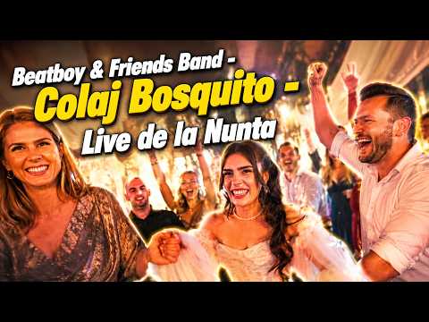 Live Show Highlights